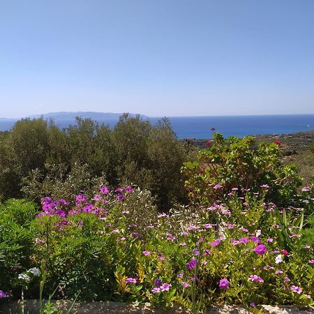 Villa Tsapoula Μουσάτα Εξωτερικό φωτογραφία