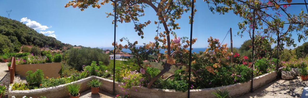 Villa Tsapoula Μουσάτα Εξωτερικό φωτογραφία
